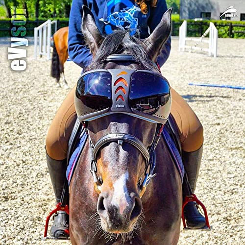 eVysor UV Protection Horse Riding Goggles by eQuick-it - MIrrored Blue Lenses