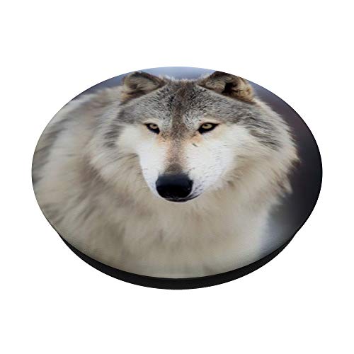 Wolf Animal Wolves PopSockets Swappable PopGrip