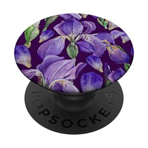 purple iris floral blossoms
