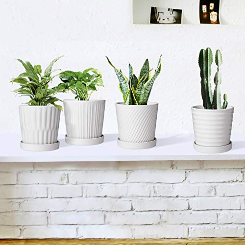 Brajttt Flower Pots,6 Inch Succulent Pots with Drinage,Indoor Round Planter Pots with Saucer,White Cactus Planters with Hole,Outdoor Graden Pots 4 Pack