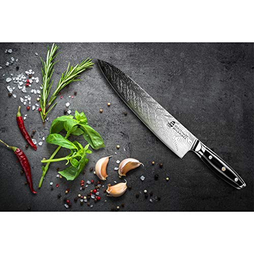 TUO Chef Knife - Kitchen Knives 10-inch High Carbon Stainless Steel - Pro Chef Vegetable Meat Knife with G10 Full Tang Handle - Black Hawk S Knives Including Gift Bo