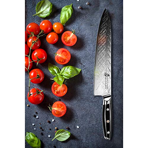 TUO Chef Knife - Kitchen Knives 10-inch High Carbon Stainless Steel - Pro Chef Vegetable Meat Knife with G10 Full Tang Handle - Black Hawk S Knives Including Gift Bo