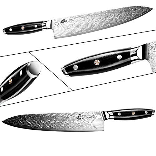 TUO Chef Knife - Kitchen Knives 10-inch High Carbon Stainless Steel - Pro Chef Vegetable Meat Knife with G10 Full Tang Handle - Black Hawk S Knives Including Gift Bo