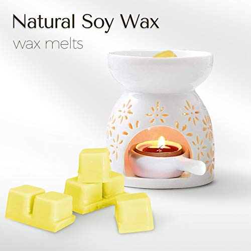 SCENTORINI Scented Wax Melts, Wax Cubes, Scented Soy Wax Melts, 8x2.5 oz, Pumpkin, Apple & Cinnamon, Winter Cedarwood, Mint & White Jasmine, Coconut & Vanilla, Black Pomegranate, Mediterranean Fig