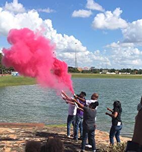 Gender Reveal Surprise Powder Cannons Bundle, 16 Inch, Non-Toxic, 4 Pink Powder Dispensers Plus 8 Free Gender Reveal Party Balloons Decorations