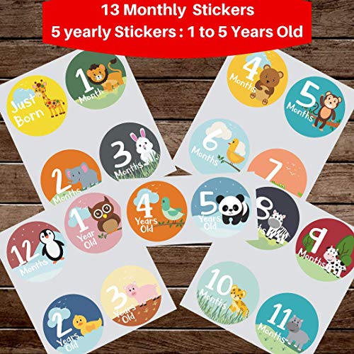 48 Pack 4" Baby Month Stickers and Milestone Stickers by Novarena - Track Your Baby's First Year Month-by-Month and Holidays Until 5 Years Old! Boys and Girls (48 Pack Stickers)