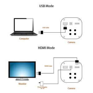 HAYEAR 16MP HDMI 1920x1080P Resolution Digital HD Microscope Camera 5X- 300X Magnification Optical Lens Bracket with Illumination Portable