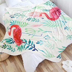 VIVILINEN Flannel Throw Blankets Flamingo Pattern Super Soft Fleece Plush Lap Blankets for Bed Couch Sofa (55"x 72", White)