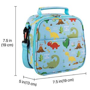 Flexzion Insulated Lunch Box for Kids Boys Dinosaur Lunch Box Girl Boy Toddler Daycare Lunch Bag for Kindergarten Pre School Hot and Cold Dino Lunch Case Kids Lunch Box with Water Bottle Holder