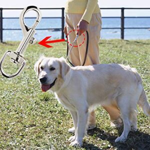 PENTA ANGEL 4Pcs Dog Leash Clasp Heavy Duty Snap Hooks Clips Pet Leashes Key Chain with Spring Buckle for Linking Pet Collar (4 PCS)