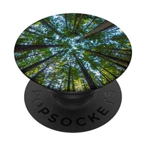 nature giant redwood trees popsockets popgrip: swappable grip for phones & tablets