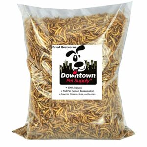 Downtown Pet Supply 1/2 lb Dried Mealworms for Wild Birds, Poultry, Reptiles, and Small Mammals Rich in Vitamin B12, B5, Protein, Fiber, and Omega 3 Fatty Acids - Great as Mealworms for Chicken