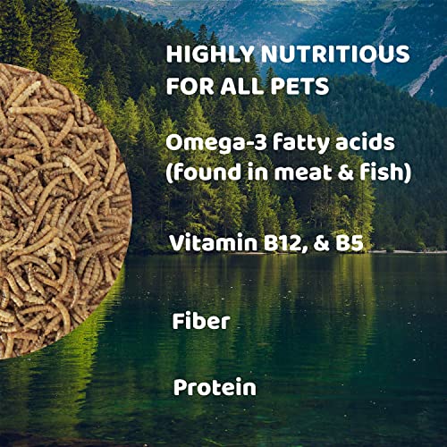 Downtown Pet Supply 1/2 lb Dried Mealworms for Wild Birds, Poultry, Reptiles, and Small Mammals Rich in Vitamin B12, B5, Protein, Fiber, and Omega 3 Fatty Acids - Great as Mealworms for Chicken