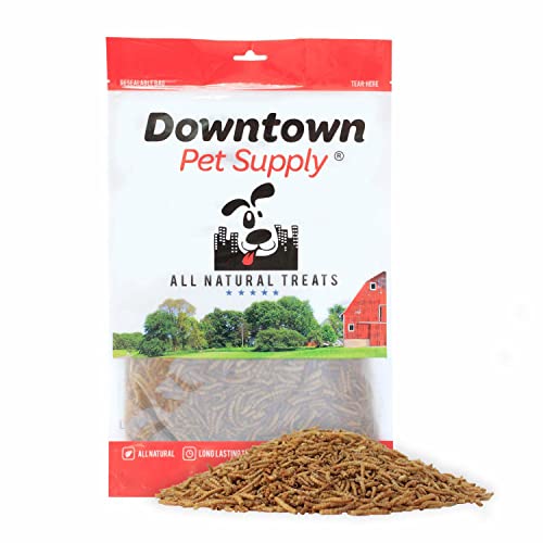 Downtown Pet Supply 1/2 lb Dried Mealworms for Wild Birds, Poultry, Reptiles, and Small Mammals Rich in Vitamin B12, B5, Protein, Fiber, and Omega 3 Fatty Acids - Great as Mealworms for Chicken