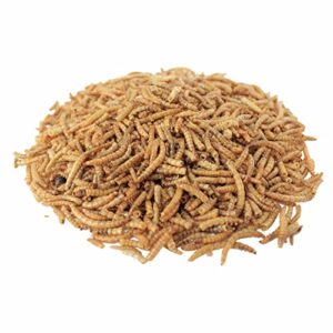 Downtown Pet Supply 1/2 lb Dried Mealworms for Wild Birds, Poultry, Reptiles, and Small Mammals Rich in Vitamin B12, B5, Protein, Fiber, and Omega 3 Fatty Acids - Great as Mealworms for Chicken