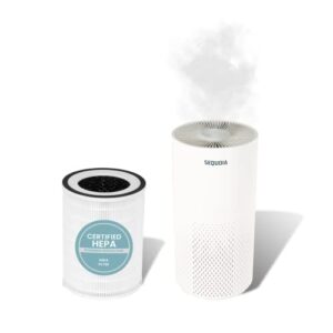 vive sequoia air purifier- home air purifier large room, car, bedroom, office, door room, desk - portable quiet air cleaner for dust, allergies, odors, smoke, pollen - hepa filter, 3 stage filtration