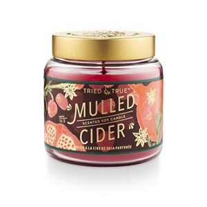 tried & true tried and true mulled cider large jar, 15.5 oz. candle, multi-color