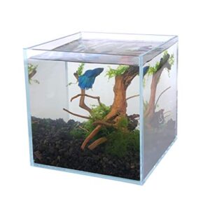 Boutique Betta Rimless Low Iron Glass Aquarium Tank 20x20x20cm 5mm Thickness Standard Jointed