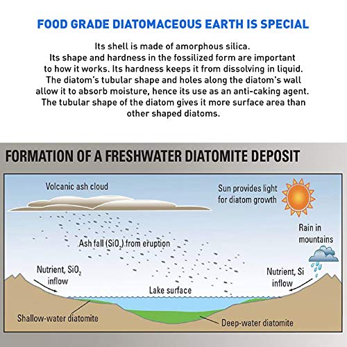 EasyGoProducts Diatomaceous Earth - 100% Natural Food Grade - DE Fresh Water – 5.5 Pounds, (Model: EGP-DE-05)