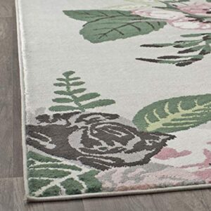 Rugs America Hanna VA40C Rose Garden Gray Floral Transitional Area Rug, 5'x7'