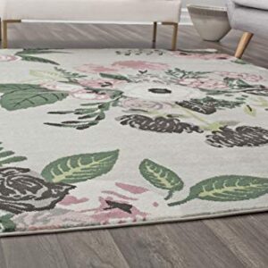 Rugs America Hanna VA40C Rose Garden Gray Floral Transitional Area Rug, 5'x7'