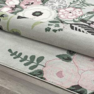 Rugs America Hanna VA40C Rose Garden Gray Floral Transitional Area Rug, 5'x7'