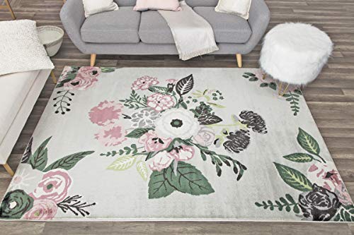 Rugs America Hanna VA40C Rose Garden Gray Floral Transitional Area Rug, 5'x7'