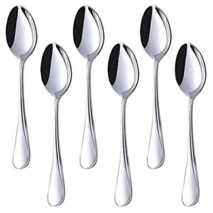 HANSGO Teaspoons Stainless Steel, 6 Piece Dinner Spoons Set 6.7 inches Dessert Spoons Use for Home, Kitchen or Restaurant