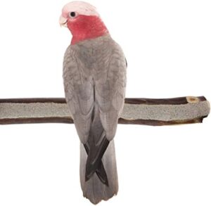 sweet feet and beak superoost manzanita pumice pedicure perch- easy to install bird cage accessories for healthy feet, nails and beak - natural bird perches imitates birds' life in the wild - m 10"