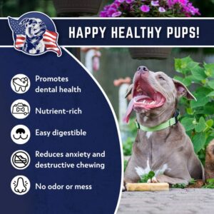 Devil Dog Pet Co Yak Cheese Himalayan Dog Chew - Premium Yak Chew - Heavy Duty All Natural Dog Treat for Teething Puppy and Aggressive Chewers - USA Veteran Owned Business (Large - 1 Pack)