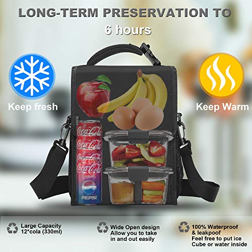 banbrick Lunch Bag,Foldable Insulated Lunch Box,Large Cooler Tote Bag for Women and Men,Kids Lunch Bag, Lunch Bag for adults,Thermal Lunch Bag for Work/Picnic/Hiking