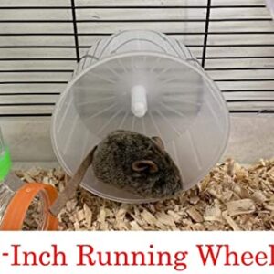 Large Clear Transparent Habitat Dwarf Syrian Hamster Rodent Gerbil Mouse Mice Critter Cage with Top Play Zone