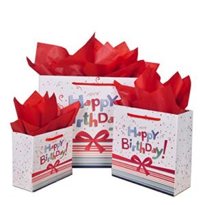 shipkey 12 pack birthday gift bags assortment with tissue paper and birthday cards | colorful gift bags for birthday party, newborns, kids, men/women