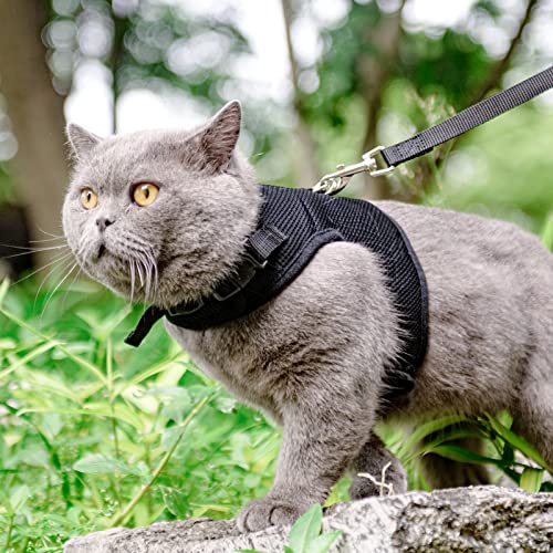 PUPTECK Soft Mesh Cat Vest Harness and Leash Set Puppy Padded Pet Harnesses Escape Proof for Cats Small Dogs Rabbits Bunny, Black XL