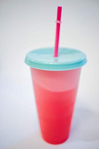 Color Changing Cups: 24oz Cold Cups - 5 Reusable Cups, Lids and Straws - Stocking Stuffers - Christmas Present, Set of 5, …