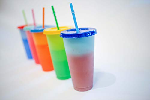 Color Changing Cups: 24oz Cold Cups - 5 Reusable Cups, Lids and Straws - Stocking Stuffers - Christmas Present, Set of 5, …