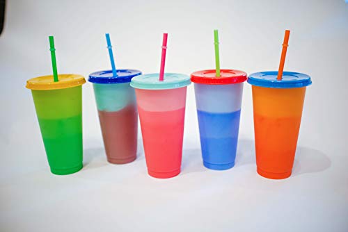 Color Changing Cups: 24oz Cold Cups - 5 Reusable Cups, Lids and Straws - Stocking Stuffers - Christmas Present, Set of 5, …