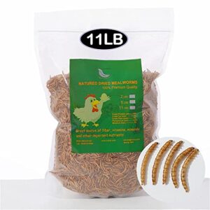 euchirus 11lbs non-gmo dried mealworms,high-protein larvae treats feed molting supplement for birds hens ducks etc,large bulk meal worms birds chicken food