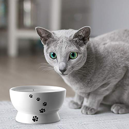 Y YHY Cat Bowl, 15 Ounce Cat Water Bowl, Raised Ceramic Cat Food Bowl, Elevated Cat Dog Dish No Spill, Pet Bowls for Cats or Small Dogs, Anti Vomiting, Measurable, White