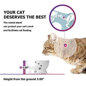 Y YHY Cat Bowl, 15 Ounce Cat Water Bowl, Raised Ceramic Cat Food Bowl, Elevated Cat Dog Dish No Spill, Pet Bowls for Cats or Small Dogs, Anti Vomiting, Measurable, White