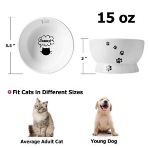 Y YHY Cat Bowl, 15 Ounce Cat Water Bowl, Raised Ceramic Cat Food Bowl, Elevated Cat Dog Dish No Spill, Pet Bowls for Cats or Small Dogs, Anti Vomiting, Measurable, White