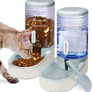 Pets Gravity Food and Water Dispenser Set,Small & Big Dogs and Cats Automatic Food and Water Feeder Set,Double Bowl Design for Small and Big Pets (Gray)