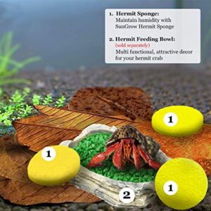 Hermit Crab Sponges for Water, 3 Pack Unbleached Hermit Crab Accessories & Supplies, Pet Crab Sponges Provide Nutrients and Maintain Tank Humidity, Water Dish Yellow Real Sea Sponges, 2" x 1"