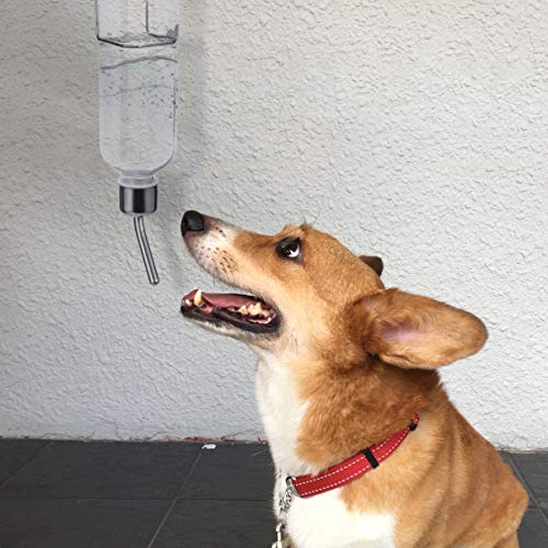 balacoo Small Animal Water Bottle - No Drip Water Dispenser Gravity Hydration Fountain Drinking Feeder for Dog,Cat,Rabbit,Hamster Cage or Kennel Size L