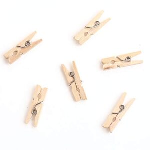 CCINEE 150 PCS Mini Wooden Clothespins,Multi-Function Clothespins Photo Paper Peg Pin Craft Clips for Home School Arts Crafts Decor, 1 Inch