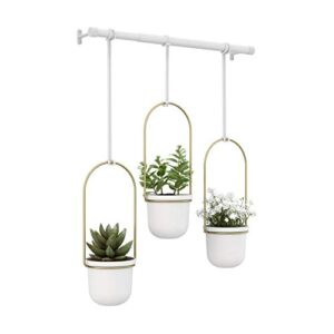 umbra 1011748-524 triflora hanging planters for indoor plants or herbs, white/brass,42" width