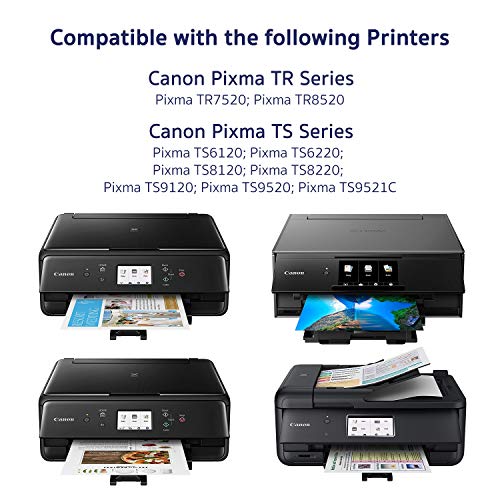 Arthur Imaging Compatible Canon Ink cartridges 280 and 281 Replacement PGI-280XXL CLI-281XXL PGI 280 XXL CLI 281 XXL PIXMA TR7520 TR8520 TS6120 TS6220 TS8220 TS9120 TS9520 TS9521C Printer (10 Pack)