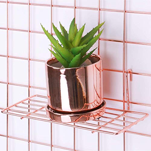 GRIDYMEN Straight Shelf for Wire Wall Grid Panel,, Wire Wall Organizer and Display Shelf, Small Wall Shelf Rack for Succulent, Flower Pot and Wall Decor, Size 9.8" x 4.9" x 2.9", Rose Gold