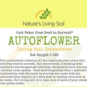 Super Soil Autoflower Concentrate