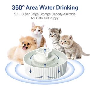 Cepheus Ceramic Pet Drinking Fountain, Ultra Quiet Cat Water Fountain, 2.1L Drinking Fountains Bowl for Cat and Dogs with Carbon Filter and Foam(White)